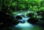 Feng Shui Wasserfallposter - Feenreich