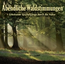 Abendliche Waldstimmungen