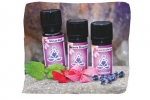 �therische �le, 5ml (10 versch. �le)