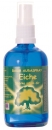 Baum-Engelspray Eiche