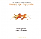 Beyond the Invisible - Limitierte Edition